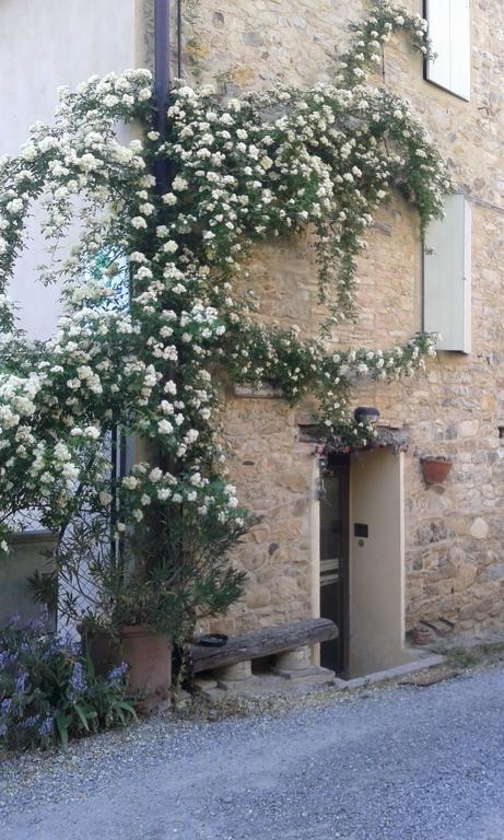 Agriturismo Il Gelso Traversetolo Exterior photo